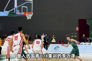 重磅美国VS澳大利亚进球集锦