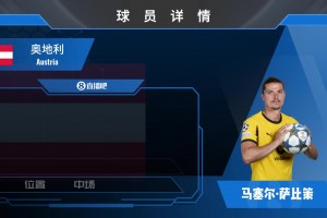 最新巴拉圭对澳大利亚全场录像