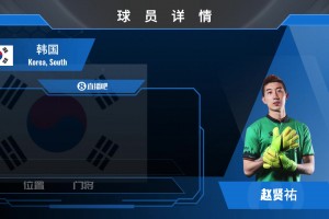 火爆韩国大战南非全场录像