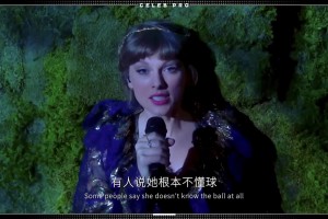 德国对厄瓜多尔直播