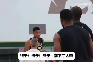 实时新西兰对阵埃及首发阵容