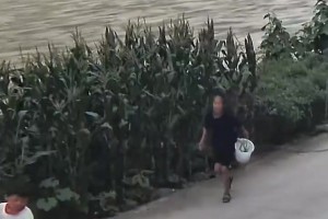 免费挪威vs塞内加尔首发阵容