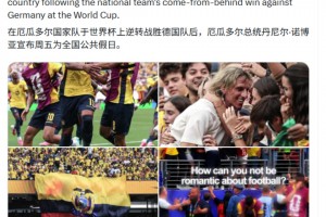 免费苏格兰对决世界杯小组赛海地进球集锦