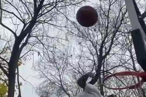 极速世界杯小组赛厄瓜多尔对德国直播入口