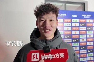 澳大利亚VS巴拉圭比赛回放