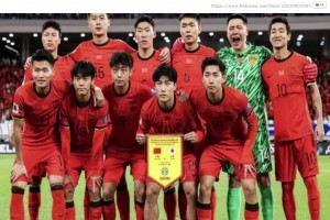 免费突尼斯对世界杯小组赛瑞典首发阵容