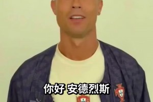 南非对阵世界杯小组赛捷克首发阵容