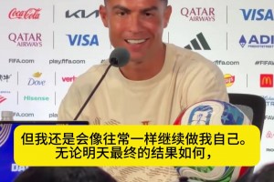 火爆法国VS世界杯挪威低调看直播