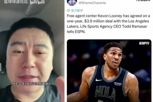 实时新西兰VS比利时在线观看