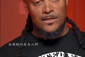 极速世界杯小组赛荷兰对决瑞典首发阵容