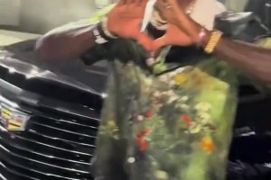 最新世界杯小组赛巴西对海地赛事前瞻