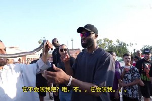极速奥地利大战阿根廷低调看直播